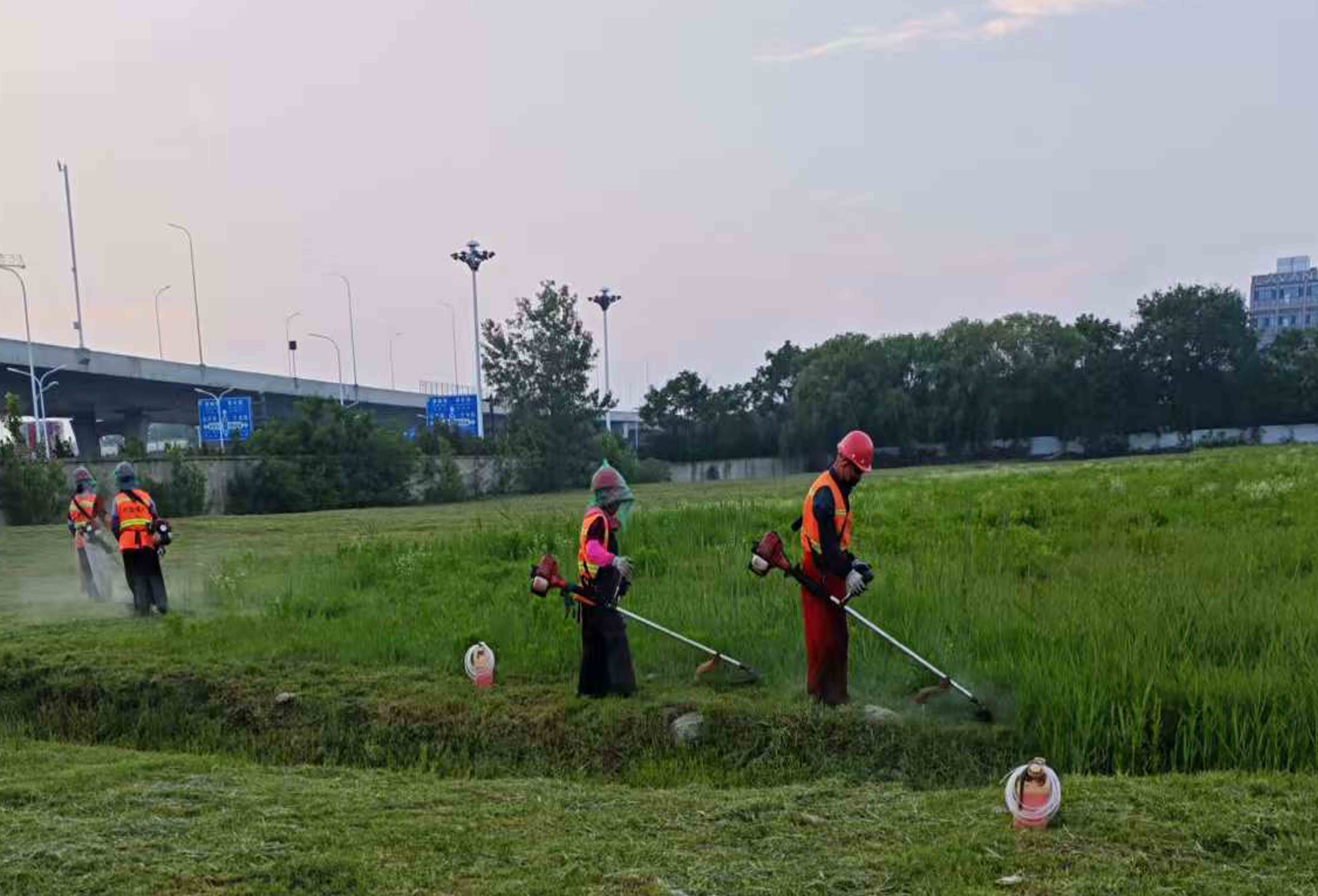 割草機.jpg